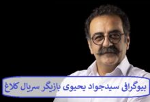 بیوگرافی سیدجواد یحیوی بازیگر سریال کلاغ