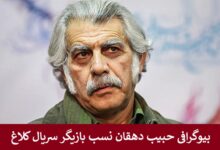 بیوگرافی حبیب دهقان نسب بازیگر سریال کلاغ + عکس بیوگرافی حبیب دهقان نسب بازیگر سریال کلاغ + عکس