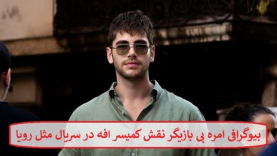 بیوگرافی امره بی بازیگر نقش کمیسر افه در سریال مثل رویا