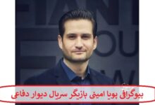 بیوگرافی پویا امینی بازیگر سریال دیوار دفاعی + عکس